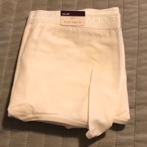 26/28 Cacique New Full Brief Panties 4 PAIRS